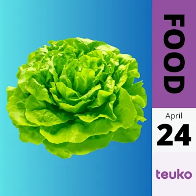 Lettuce Challenge